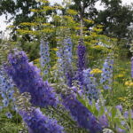 Zagroda Królów w Brześciu w gminie Bliżyn / Krzysztof Bujnowicz / Radio Kielce