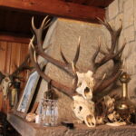 Plenerowy Raport Dnia. Małaszyński Zakątek (29.06.2017) / Krzysztof Bujnowicz / Radio Kielce