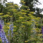 Zagroda Królów w Brześciu w gminie Bliżyn / Krzysztof Bujnowicz / Radio Kielce