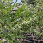 Zagroda Królów w Brześciu w gminie Bliżyn / Krzysztof Bujnowicz / Radio Kielce