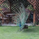 Plenerowy Raport Dnia - Gospodarstwa Agroturystyczne (26.06.2017) / Krzysztof Bujnowicz / Radio Kielce