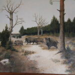 Plenerowy Raport Dnia. Małaszyński Zakątek (29.06.2017) / Krzysztof Bujnowicz / Radio Kielce