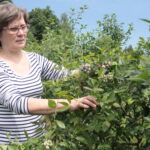 Zagroda Królów w Brześciu w gminie Bliżyn / Krzysztof Bujnowicz / Radio Kielce