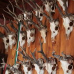 Plenerowy Raport Dnia. Małaszyński Zakątek (29.06.2017) / Krzysztof Bujnowicz / Radio Kielce