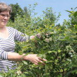 Zagroda Królów w Brześciu w gminie Bliżyn / Krzysztof Bujnowicz / Radio Kielce