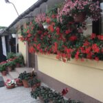 Plenerowy Raport Dnia - Gospodarstwa Agroturystyczne (26.06.2017) / Krzysztof Bujnowicz / Radio Kielce