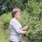 Zagroda Królów w Brześciu w gminie Bliżyn / Krzysztof Bujnowicz / Radio Kielce