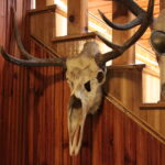 Plenerowy Raport Dnia. Małaszyński Zakątek (29.06.2017) / Krzysztof Bujnowicz / Radio Kielce