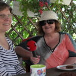 Zagroda Królów w Brześciu w gminie Bliżyn / Krzysztof Bujnowicz / Radio Kielce