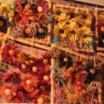 Plenerowy Raport Dnia - Gospodarstwa Agroturystyczne (26.06.2017) / Krzysztof Bujnowicz / Radio Kielce