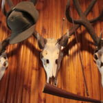 Plenerowy Raport Dnia. Małaszyński Zakątek (29.06.2017) / Krzysztof Bujnowicz / Radio Kielce