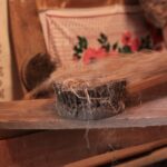 Plenerowy Raport Dnia - Gospodarstwa Agroturystyczne (26.06.2017) / Krzysztof Bujnowicz / Radio Kielce