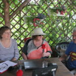 Zagroda Królów w Brześciu w gminie Bliżyn / Krzysztof Bujnowicz / Radio Kielce