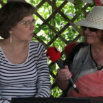 Zagroda Królów w Brześciu w gminie Bliżyn / Krzysztof Bujnowicz / Radio Kielce