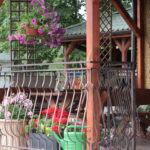 Plenerowy Raport Dnia. Małaszyński Zakątek (29.06.2017) / Krzysztof Bujnowicz / Radio Kielce