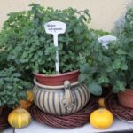 Plenerowy Raport Dnia - Gospodarstwa Agroturystyczne (26.06.2017) / Krzysztof Bujnowicz / Radio Kielce