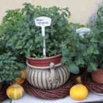 Plenerowy Raport Dnia - Gospodarstwa Agroturystyczne (26.06.2017) / Krzysztof Bujnowicz / Radio Kielce