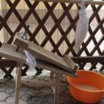 Plenerowy Raport Dnia - Gospodarstwa Agroturystyczne (26.06.2017) / Krzysztof Bujnowicz / Radio Kielce