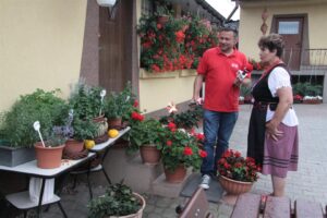 Plenerowy Raport Dnia - Gospodarstwa Agroturystyczne (26.06.2017) / Krzysztof Bujnowicz / Radio Kielce