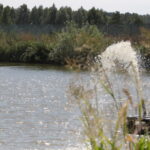 Plenerowy Raport Dnia. Małaszyński Zakątek (29.06.2017) / Krzysztof Bujnowicz / Radio Kielce