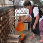 Plenerowy Raport Dnia - Gospodarstwa Agroturystyczne (26.06.2017) / Krzysztof Bujnowicz / Radio Kielce