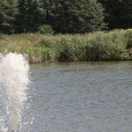 Plenerowy Raport Dnia. Małaszyński Zakątek (29.06.2017) / Krzysztof Bujnowicz / Radio Kielce