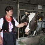 Plenerowy Raport Dnia - Gospodarstwa Agroturystyczne (26.06.2017) / Krzysztof Bujnowicz / Radio Kielce