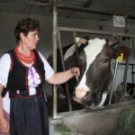 Plenerowy Raport Dnia - Gospodarstwa Agroturystyczne (26.06.2017) / Krzysztof Bujnowicz / Radio Kielce