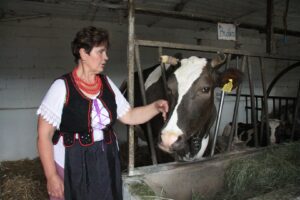 Plenerowy Raport Dnia - Gospodarstwa Agroturystyczne (26.06.2017) / Krzysztof Bujnowicz / Radio Kielce
