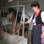 Plenerowy Raport Dnia - Gospodarstwa Agroturystyczne (26.06.2017) / Krzysztof Bujnowicz / Radio Kielce