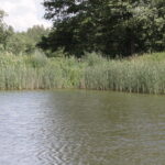 Plenerowy Raport Dnia. Małaszyński Zakątek (29.06.2017) / Krzysztof Bujnowicz / Radio Kielce