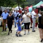 11.06.2017 Tokarnia. Jawor u źródeł kultury / Jarosław Kubalski / Radio Kielce