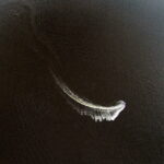 13.06.2017 Starachowice. Zalew Lubianka. Kąpielisko. / Jarosław Kubalski / Radio Kielce