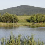 09.06.2017 Wilków. Zalew. Kąpielisko. / Jarosław Kubalski / Radio Kielce