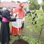 17.06.2017 Rytwiany. 400 lecie Pustelni Złotego Lasu. / Jarosław Kubalski / Radio Kielce