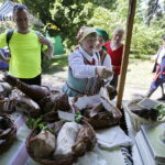 18.06.2017 Kielce. Konkurs „Nasze Kulinarne Dziedzictwo - Smaki Regionów” i koncert finalistów Buskich Spotkań z Folklorem. / Jarosław Kubalski / Radio Kielce
