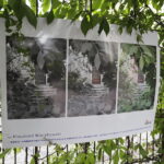 23.06.2017 Kielce. DK "Zameczek". Wystawa fotografii "Tajemnice pewnej ulicy". / Jarosław Kubalski / Radio Kielce