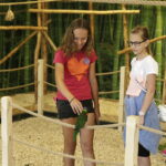 24.06.2017 Kielce. Papugarnia. Papugi. / Jarosław Kubalski / Radio Kielce