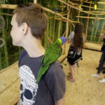 24.06.2017 Kielce. Papugarnia. Papugi. / Jarosław Kubalski / Radio Kielce