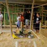 24.06.2017 Kielce. Papugarnia. Papugi. / Jarosław Kubalski / Radio Kielce