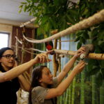 24.06.2017 Kielce. Papugarnia. Papugi. / Jarosław Kubalski / Radio Kielce