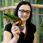 24.06.2017 Kielce. Papugarnia. Papugi. / Jarosław Kubalski / Radio Kielce