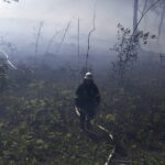 29.06.2017 Bugaj. Pożar lasu. Straży pożarnej pomagały samoloty gaśnicze Dromader. / Jarosław Kubalski / Radio Kielce