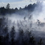 29.06.2017 Bugaj. Pożar lasu. Straży pożarnej pomagały samoloty gaśnicze Dromader. / Jarosław Kubalski / Radio Kielce