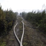 29.06.2017 Bugaj. Pożar lasu. Straży pożarnej pomagały samoloty gaśnicze Dromader. / Jarosław Kubalski / Radio Kielce