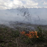 Fot. Jarosław Kubalski - Radio Kielce