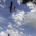 29.06.2017 Bugaj. Pożar lasu. Straży pożarnej pomagały samoloty gaśnicze Dromader. / Jarosław Kubalski / Radio Kielce