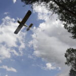 29.06.2017 Bugaj. Pożar lasu. Straży pożarnej pomagały samoloty gaśnicze Dromader. / Jarosław Kubalski / Radio Kielce