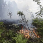 29.06.2017 Bugaj. Pożar lasu. Straży pożarnej pomagały samoloty gaśnicze Dromader. / Jarosław Kubalski / Radio Kielce