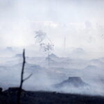 29.06.2017 Bugaj. Pożar lasu. Straży pożarnej pomagały samoloty gaśnicze Dromader. / Jarosław Kubalski / Radio Kielce